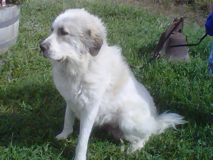 Song in Summer of 2013