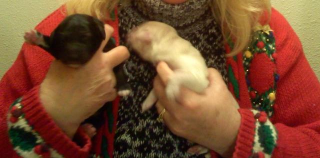 wife with 2 pups 1202021720ac