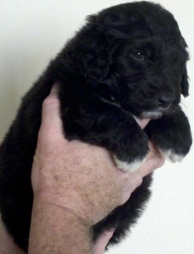 2013-01-01_15-03-31_289