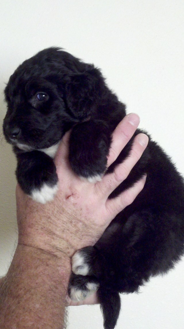 2013-01-01_15-03-48_625