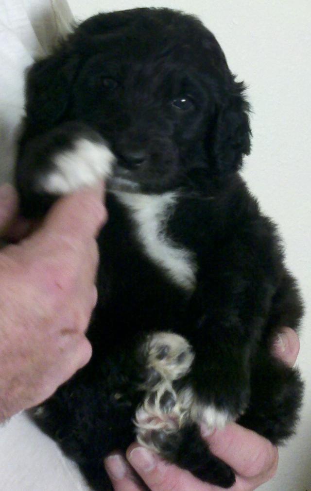 2013-01-01_15-04-11_498