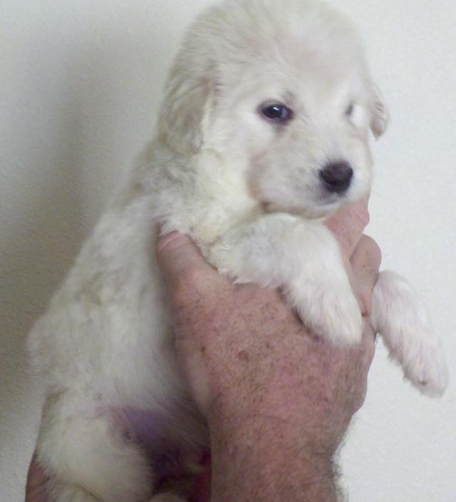 2013-01-01_15-05-02_690