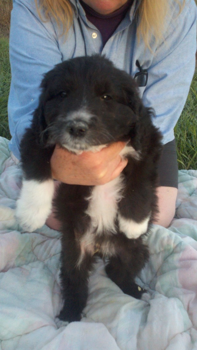 2013-10-05_18-43-43_628