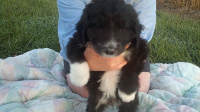 2013-10-05_18-43-47_698