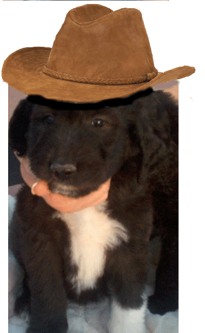 Bev, ready for Lubbock, TX