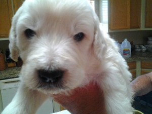 Not happy about being taken away from dinner!