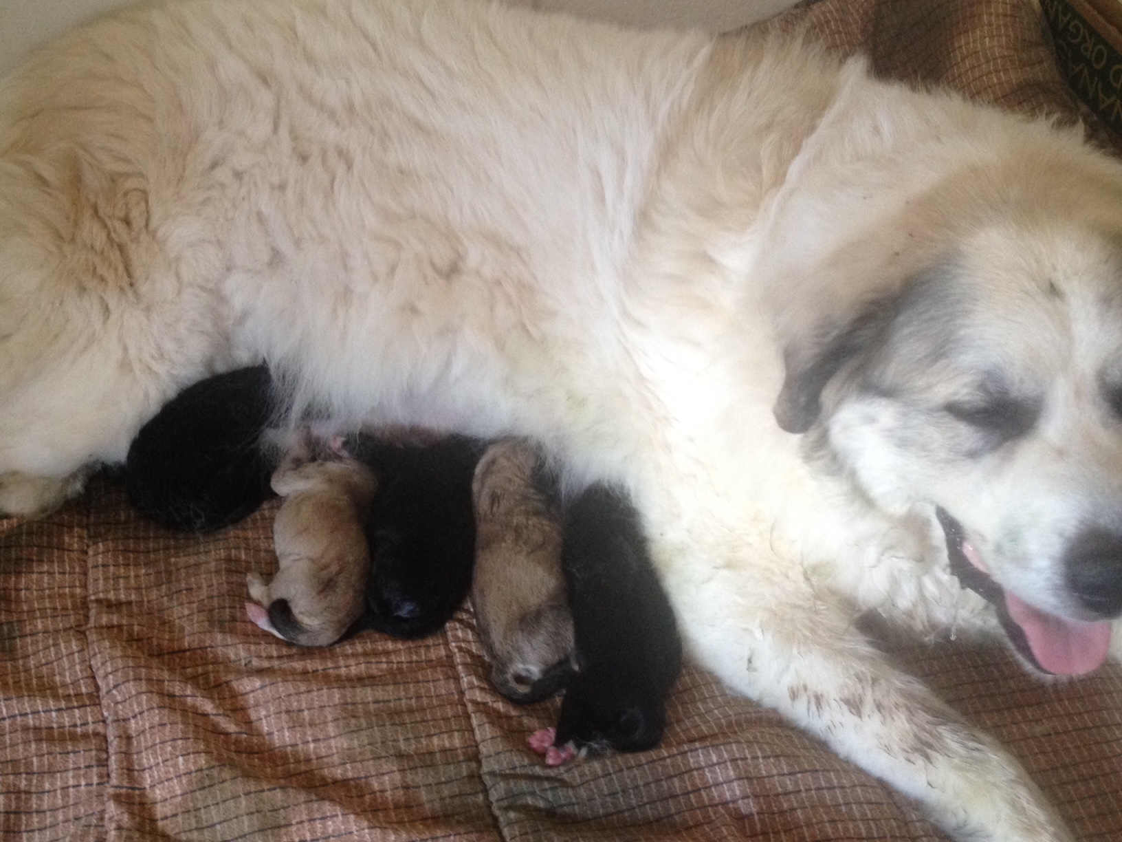 5 of 7 and still delivering